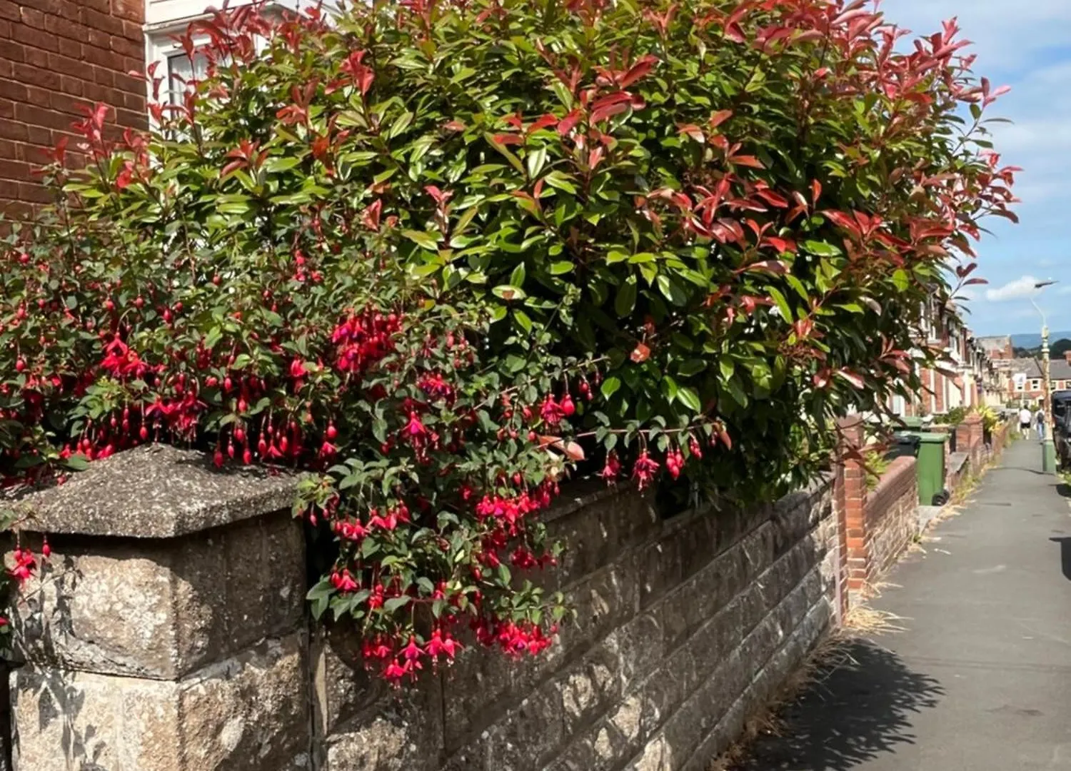 St Anne'S Road Guest House Exeter 0*,  United Kingdom